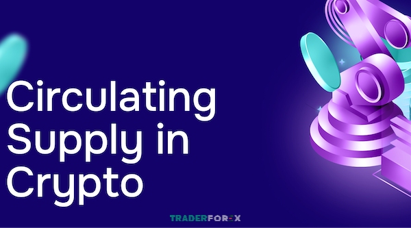Hiểu rõ Circulating Supply là gì để định giá coin chính xác và tối ưu chiến lược đầu tư